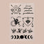A collection of black vitamin patches on a beige background. There are twelve distinct designs, including symbols of love, strength, peace, and gratitude written in stylized text; two crossed arrows with a heart and infinity symbol; a sun with rays; an eye within a heart shape; two swallows facing opposite directions with stars between them; phases of the moon ranging from new to full moon; and various celestial bodies like stars and planets.