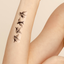 A vitamin patch featuring 4 birds in a vertical alignment on the arm.