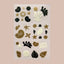 A collection of vitamin patches in various shapes and colors. The patches feature designs resembling natural elements such as seashells, starfish, and plants, predominantly in shades of gold, black, and white. The background of this image is white. 