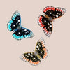 Butterflies
